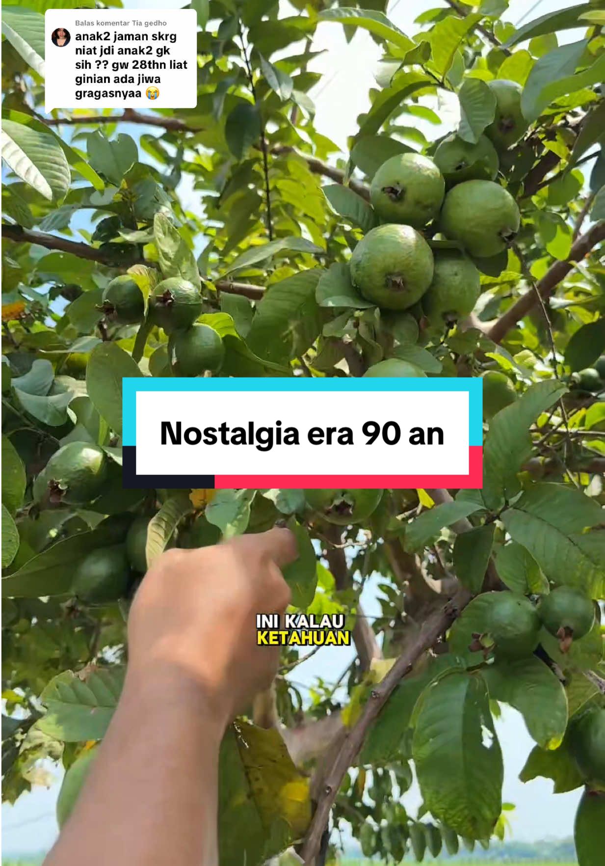 Membalas @Tia gedho Nostalgia Era 80 90 an  #nostalgia #buahjadul #jambu #zengarden #fyp 