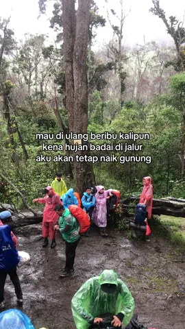 jika jalanya terlalu mudah mungkin kamu berada di jalan yg salah #fyp #xyzabc #pendakigunung 