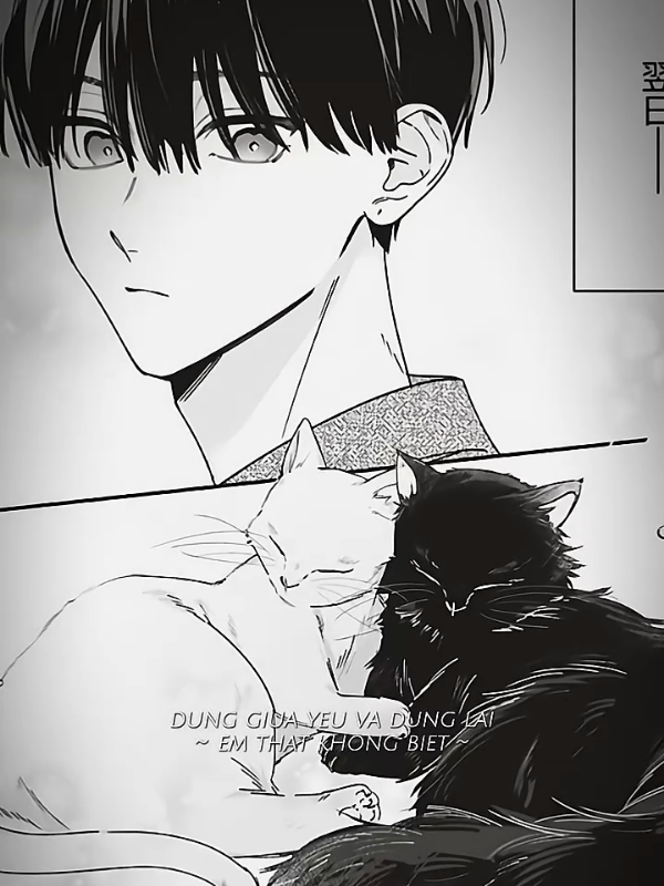 nhìn 2 con mèo giống 2 anh chj ghê#manga #xh #fypシ #josei #fyp 