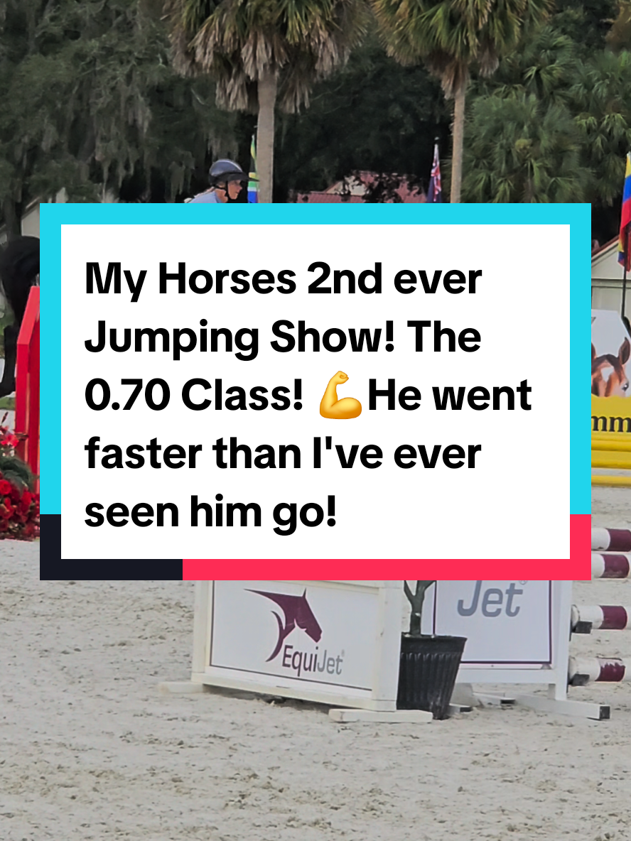 👇 Beau went faster than I've ever seen him go! He wa just flying! He looked faster in rl than in this video. The vidoe doesn't do his speed justice! He was totally controllable the whole time too! You can see how effortless this ride looks for his trainer Sara Ring riding him. I mean, he didn't evne knock any down! 🥰  His trainer even said this was the most energetic he's ever been so far during a ride and that it was the best ride she has had on him! 💪 He looked magnificent!  I was happy as well, because the running braid I put in his made stayed in! 😂 Win for me! 🥉 This was not a time or judged class as it was a schooling class. His judged and timed classes are later on, if the weather stays good, and they will be 0.80, so even higher than these jumps! #apbeauregard #horseshow #jumpingshow #horses #wowhorse 
