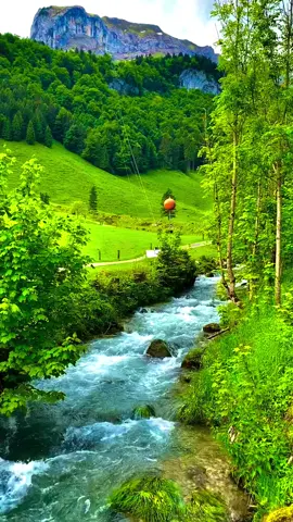 #سويسرا🇨🇭 استمتعو بلجواء والمنضر الطبيعي