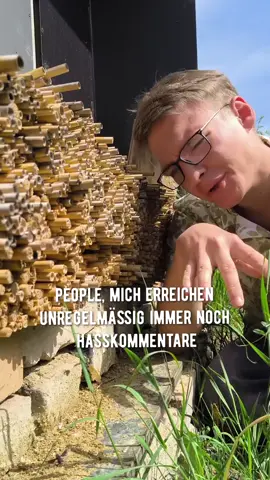 -reupload- People, 99% der kaufbaren Insektenhotels schaden der Population mehr als sie bringen. #biodiversität #naturgarten #insekten  #natur  #wildnis 