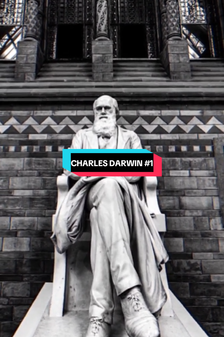 Bagian 1 | Charles Darwin Dari bocah sakit-sakitan dan aneh jadi ilmuwan yang mengubah dunia. #CharlesDarwin #Fyp #Sejarah #Biologi #Ilmuwan 
