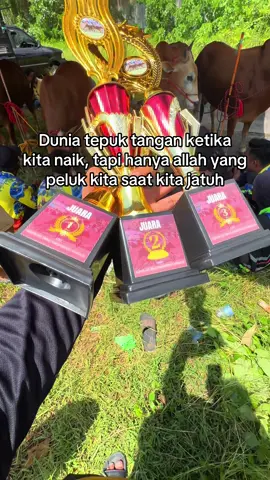 Alhamdulillah 3 tiket untuk piala kabupaten, salah satunya ft @GRT PUSAT  #foryoupage #kerapansapi #karapansapimadura @Asmarabiru_official @young_har 