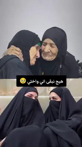 #مالي_خلق_احط_هاشتاقات🦦 #السماوة_مدينتي🇮🇶❤️ ##الشعب_الصيني_ماله_حل😂😂🙋🏻‍♂️ #اني واختي