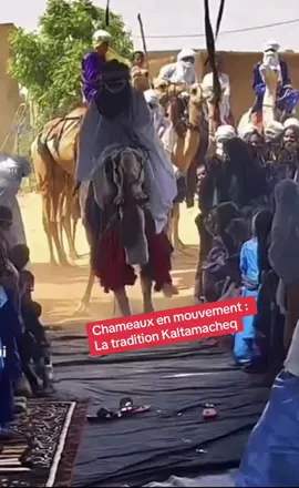 Les Chameaux : Compagnons Majestueux des Kaltamacheq dans l'Immense Désert Dans le Sahel et le Sahara, les chameaux sont plus que des animaux ; ils sont les compagnons fidèles des Kaltamacheq, symboles de résilience et d'adaptabilité dans l'immensité du désert.  Leur lien avec les Touaregs ( qu’ils soient noirs ou clairs de peaux) est profond, ancré dans des siècles de partage et de respect mutuel. Véritables piliers des caravanes, notamment sur la légendaire route de l'Azalai, ils transportent le précieux sel, 