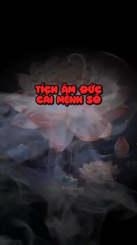 TÍCH ÂM ĐỨC, CẢI MỆNH SỐ #tinhthuc260690 #viral #phatphapnhiemmau #adidaphat🙏🙏🙏 #fyp 
