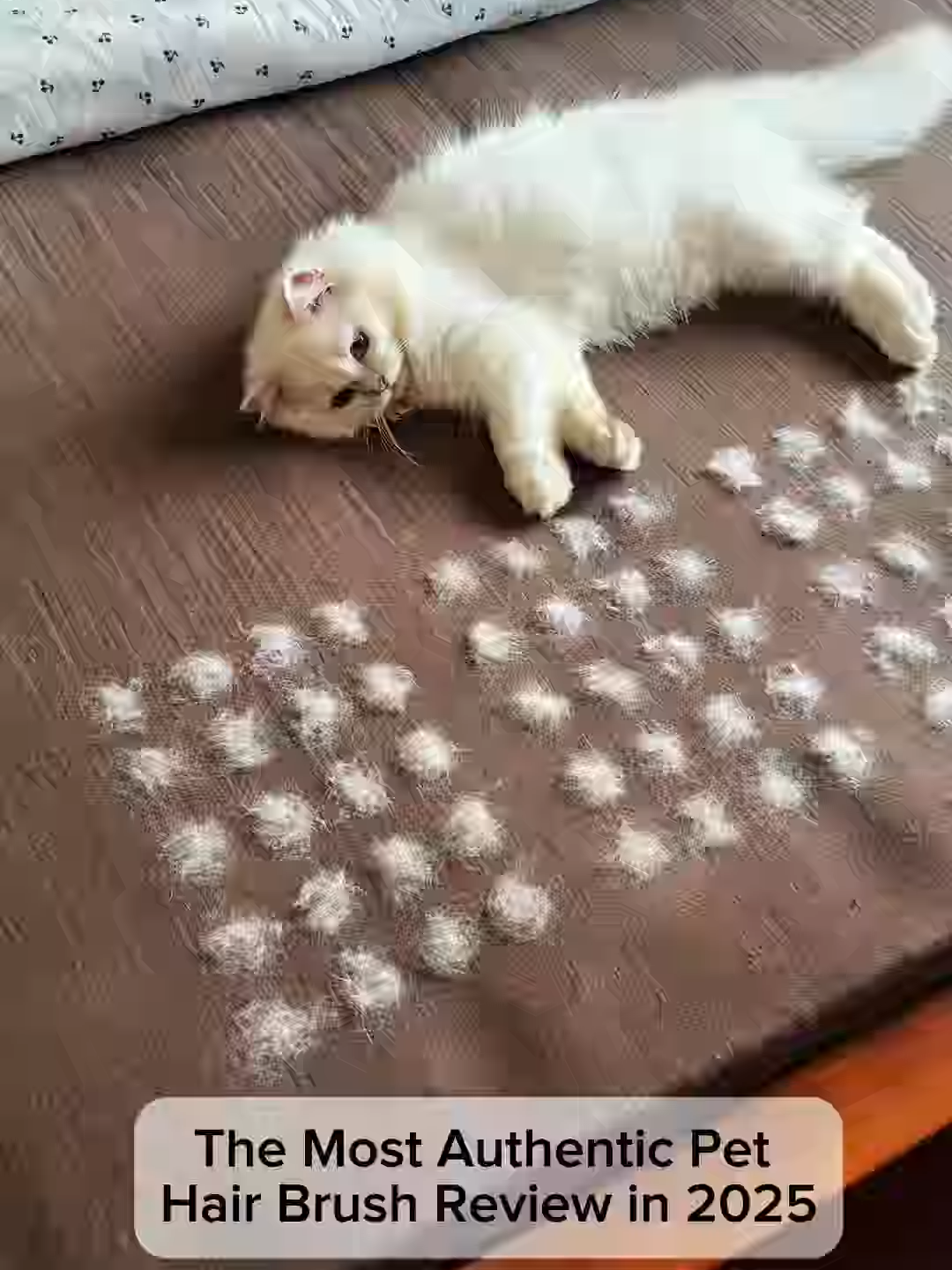 Never used anything that worked any better and I have tried lots!!!😭#pethairremoval #petproducts #catsoftiktok #pethairremover #tiktokmademebuyit