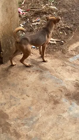 ae đoán bài gì đi😂