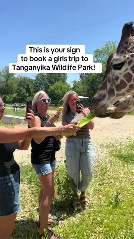 Who needs a spa day when you can feed giraffes together? 🦒 #girlstrip #kansas #mars #babyhipo #kansas 