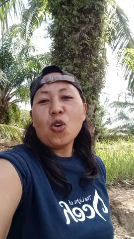 tak ajak ninja sawit gak gelem #videoviral#videongakak#lucu#hiburan#fypシ゚ 