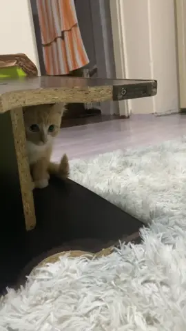 мне плохо хахахахахха