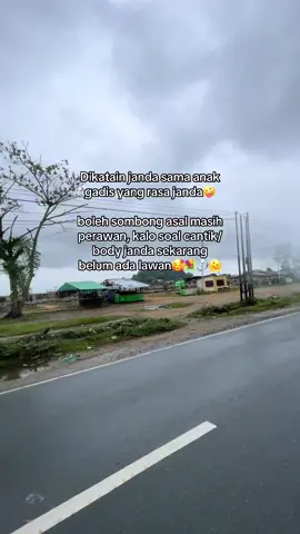 Janda sekarang gacor