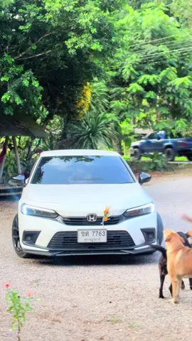 พนักงานต้อนรับทำงานดีมาก 🐶#civicfe #civicturbo #fyp #ลัทธิฮอนด้า #fyp 