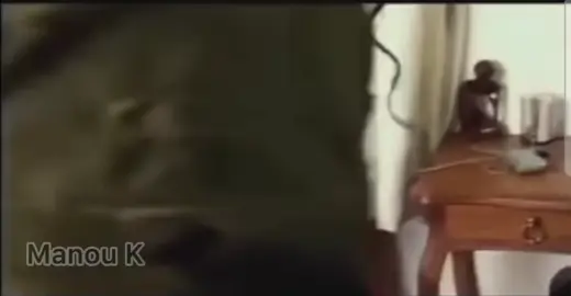 Il mérite un oscar c'est lui le père de la chose. 