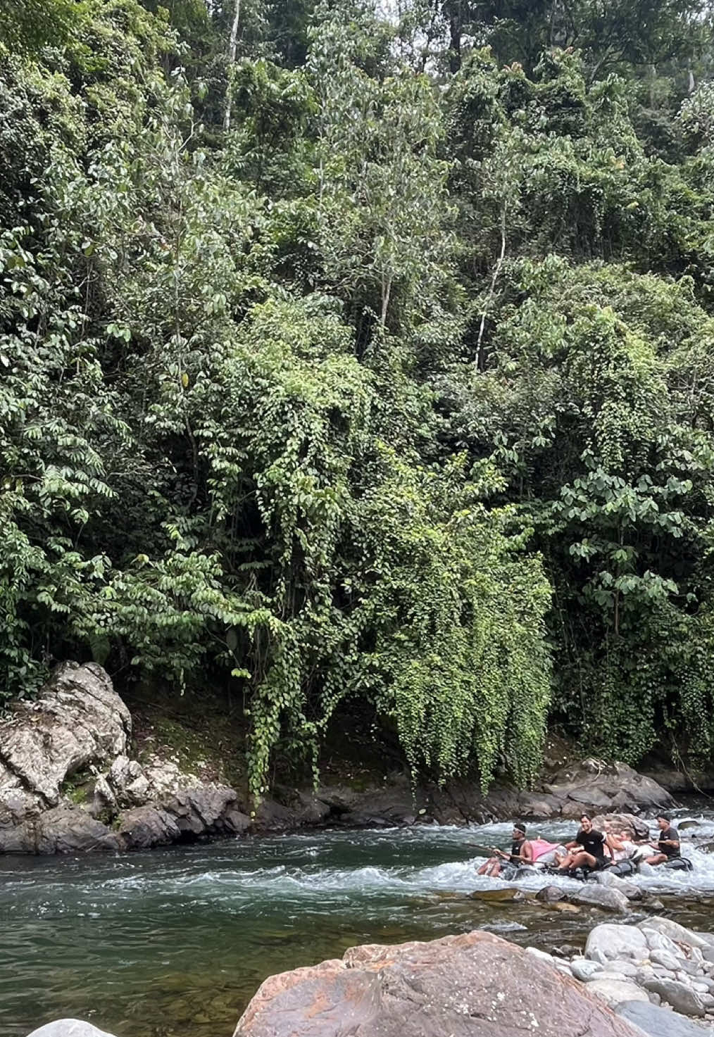 no plan 🌎 no signal 📶  back to nature 🍃🫀 #backtonature🌿  #bukitlawang #wonderfulindonesia 