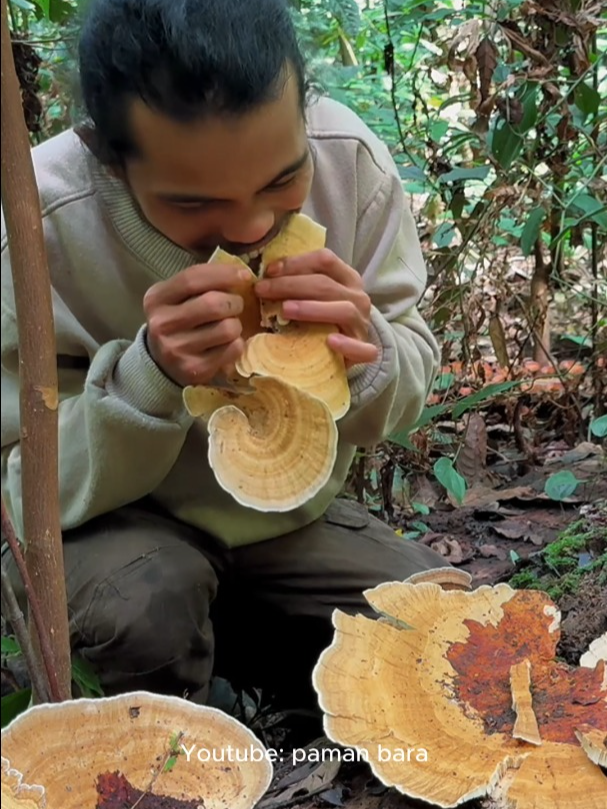 Part 280. Menganalisis lebih lanjut tentang jamur besar ini! #pamanbara #edukasi #survival #bushcraft
