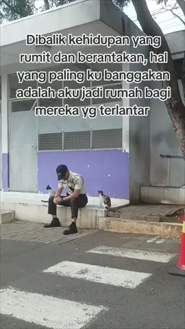 biasanya orang orang yg punya masalalu pahit dan melalui banyak penderitaan hidup yang akan lebih mengerti betapa berharga nya kehidupan kucing kucing ini  #catlover #kucingjalanan #kucingtiktok #kucingliar #motivasi 