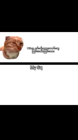 Sq name- pyinNyarThelMyar တွေ့ရင်surr လိုက်#foryou #ml #sq #trend 