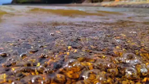 #corani #bolivia #bolivia🇧🇴tiktok #laguna 