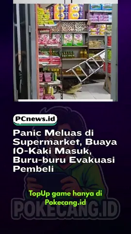 Seorang buaya sepanjang sekitar sepuluh kaki tiba-tiba memasuki supermarket Fujiyama di Desa Wayo, Pulau Taliabu, memicu kepanikan di antara pembeli yang terpental ke rak sereal dan camilan. Petugas pemadam kebakaran berhasil menjinakkan reptil tersebut dengan tali laso, menutup matanya, dan membebaskannya ke habitat alami setelah banjir menciptakan jalan baru. Kasus ini mencerminkan meningkatnya konflik manusia-alam akibat perubahan lingkungan. sc: ragamcerita