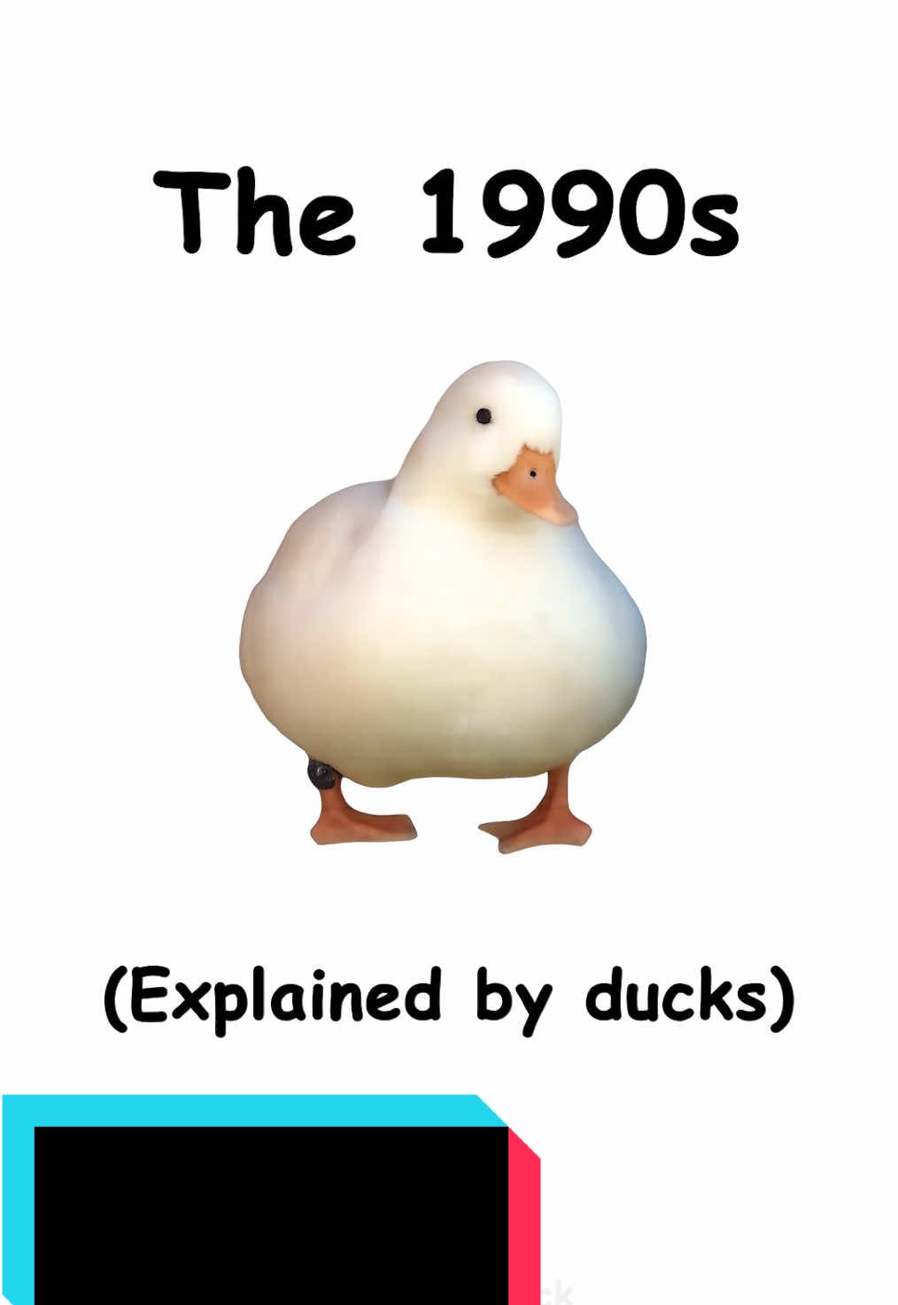 The 1990s explained by ducks #1990s #90s #nostalgia #1990sthrowback 