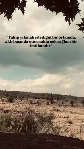 📍 Sᴛᴏʀʏʟiᴋ 📍   📻 ☘️ 🥺 🎶 ❤️‍🩹 🥀 💔