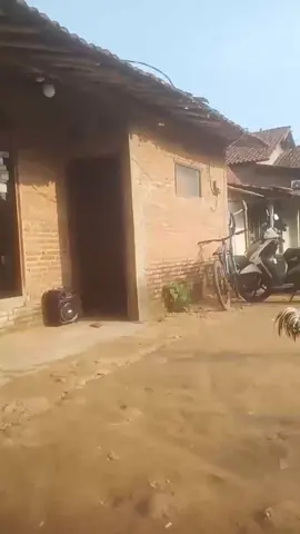 #tiktoklive #livehighlights 