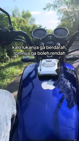 #rxking135 #twostroke 