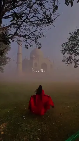 படைத்தால் இறைவன் உன்னையே 🥰🤍 #tamilsongs #whatsappstatus #rhythmbeatz #rhythm #meenu 