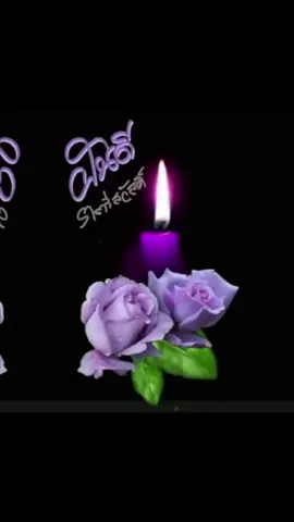 #ส่งความสุขให้กันทุกวันค่ะ #คืนนี้ขอให้นอนหลับฝันดีราตรีสวัสดิ์นะคะ 
