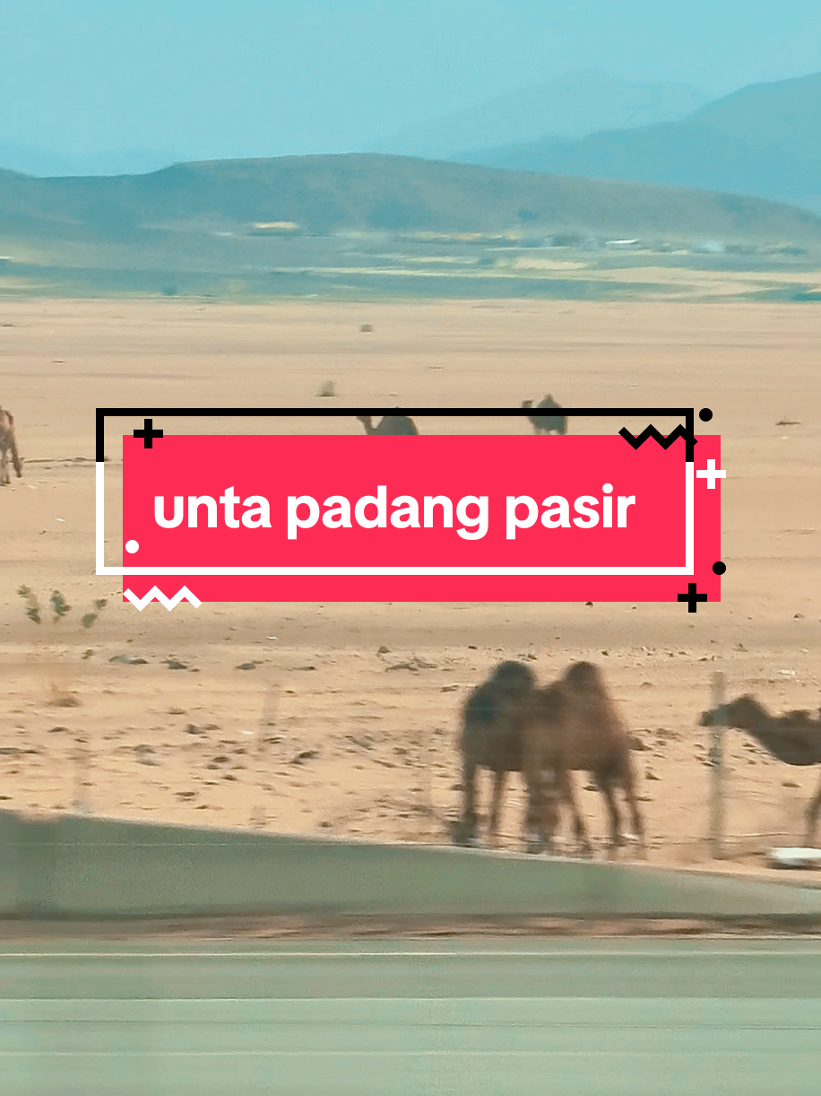Dari Kota Makkah menuju ke Kota Madinah 💚 Terima Kasih @sinarsucitravel atas pengalaman bermakna ini Semoga dikurniakan rezeki untuk datang ke sini lagi... Aminnn3  #umrah2025  #sinarsucitravel  #makkahmadinah🕋  #makkah  #makkahmadinah 