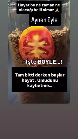 #sevelim #sevilelim 