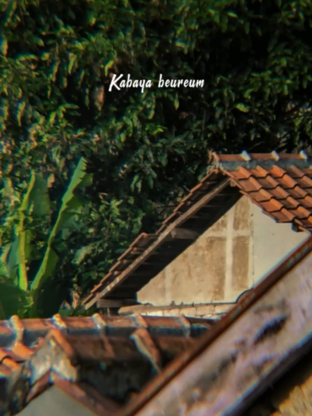 Template CC 👆🏻 | Kabaya beureum - Andira  @kang_guwu  #CapCut #fypシ゚ #kabayabeureum #viral #pagipagiambyarttv #fyp  #browniestranstv #anakkecil #lagusunda #trend #aesthetic #lewatberanda #andira #dalangcilik #storywa #sr_sibungsu #kangmas 