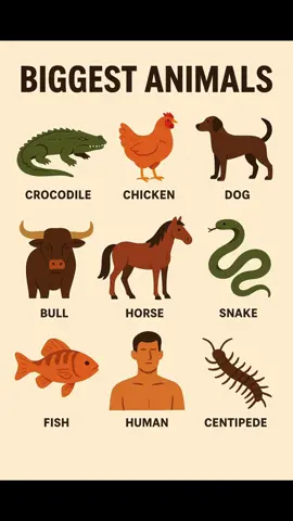 What animals should we do next #earthsarchive 