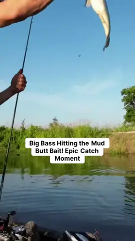 An exhilarating journey awaits as Nolan and Sam Roberson from Seekersofmen.com reel in some impressive catches! Witness the art of fishing unfold with the iconic mud butt bait, as these skilled anglers navigate the water to target the elusive Largemouth Bass. The anticipation in the air is palpable as they spot their quarry, showcasing the thrill of the chase and the beauty of nature. From casting to landing, experience every heart-pounding moment. Whether you're a fishing fanatic or just looking for some inspiration, this video offers a masterclass in angling techniques and camaraderie on the water. Don’t miss the excitement—let the bass fishing adventure begin! #Fishing #BassFishing #LargemouthBass #Angling #EpicCatch #OutdoorAdventure #GarminLivescope #Seekersofmen #MudButtBait #CrappieFishing #FishingLife #CatchAndRelease #FishOn #NatureLovers #FishingCommunity