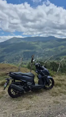 #variostd #vario160cc #platdh 