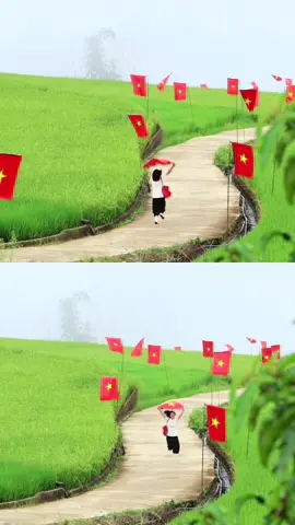 Lớn lên dưới màu cờ🇻🇳 Trái tim cứ tự nhiên đỏ thắm ❤️ Nếu yêu nước là trend, tui nguyện theo trend cả đời. 🥰 Tui mê quê tui quá! Mê cả bài hát này, lần nào nghe cũng nghẹn lại. Tại bài hát hay mà thêm 1 video nữa. Luỵ đồng lúa suối lìn #xuhuong #mocchaucuaboom #reviewmocchau ##donglua #vietnam  