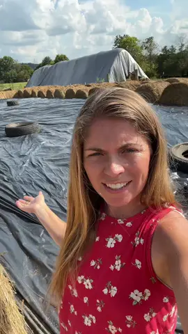 Silage is all packed and wrapped. #farmfamily #silage#farmlife #corn