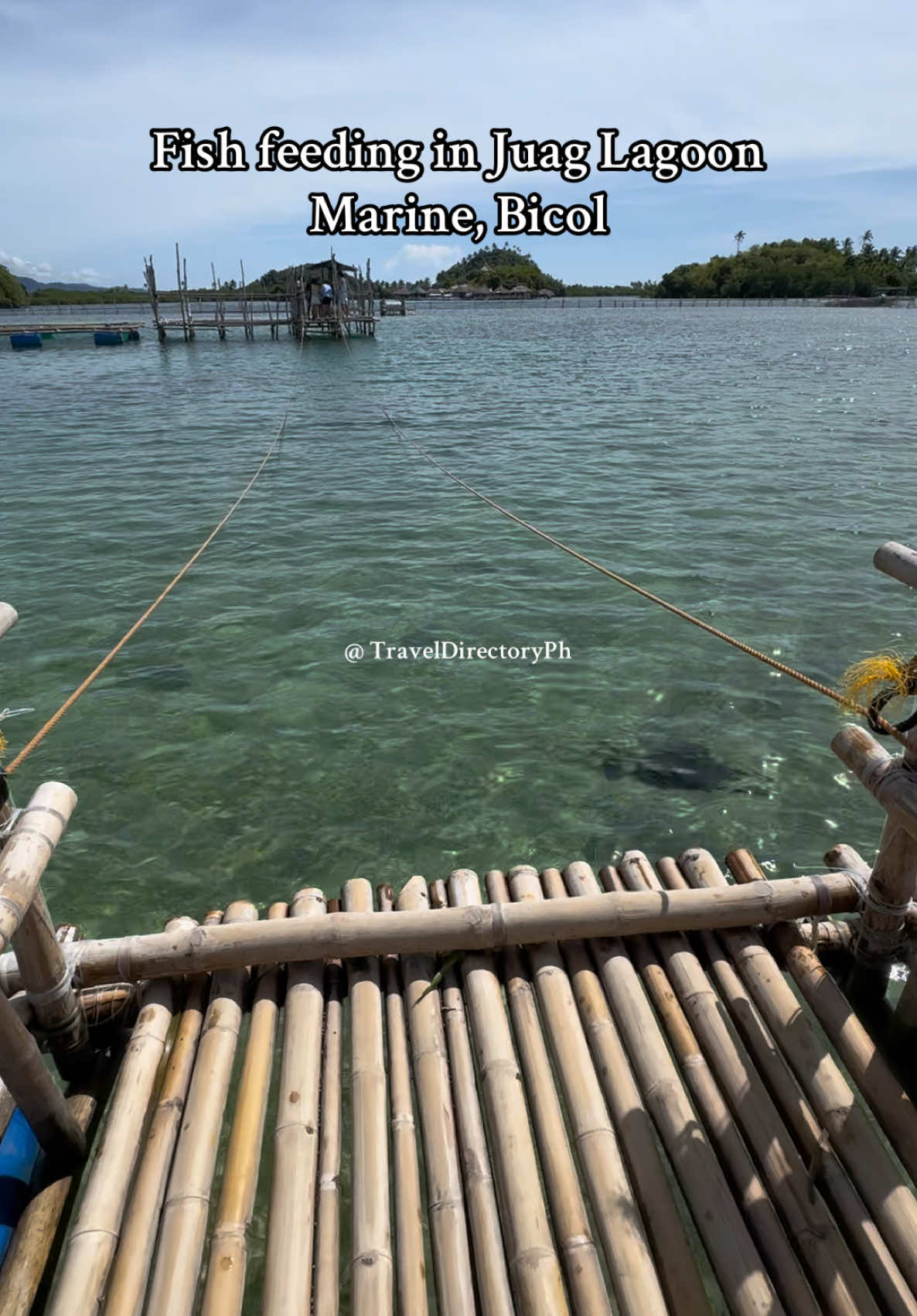 Juag Fish Sanctuary , Sorsogon - Bicol #sorsogon #sorsogonbicol 
