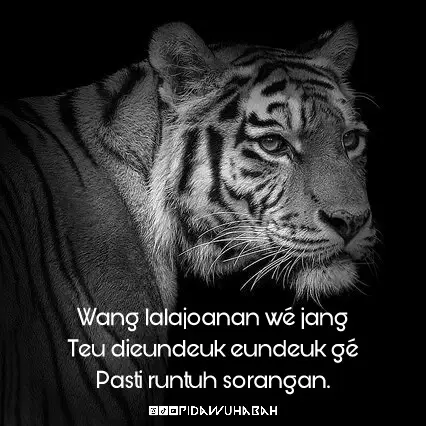 #pidawuhabah #papatahsunda #storysunda #katakatasunda #fyp 