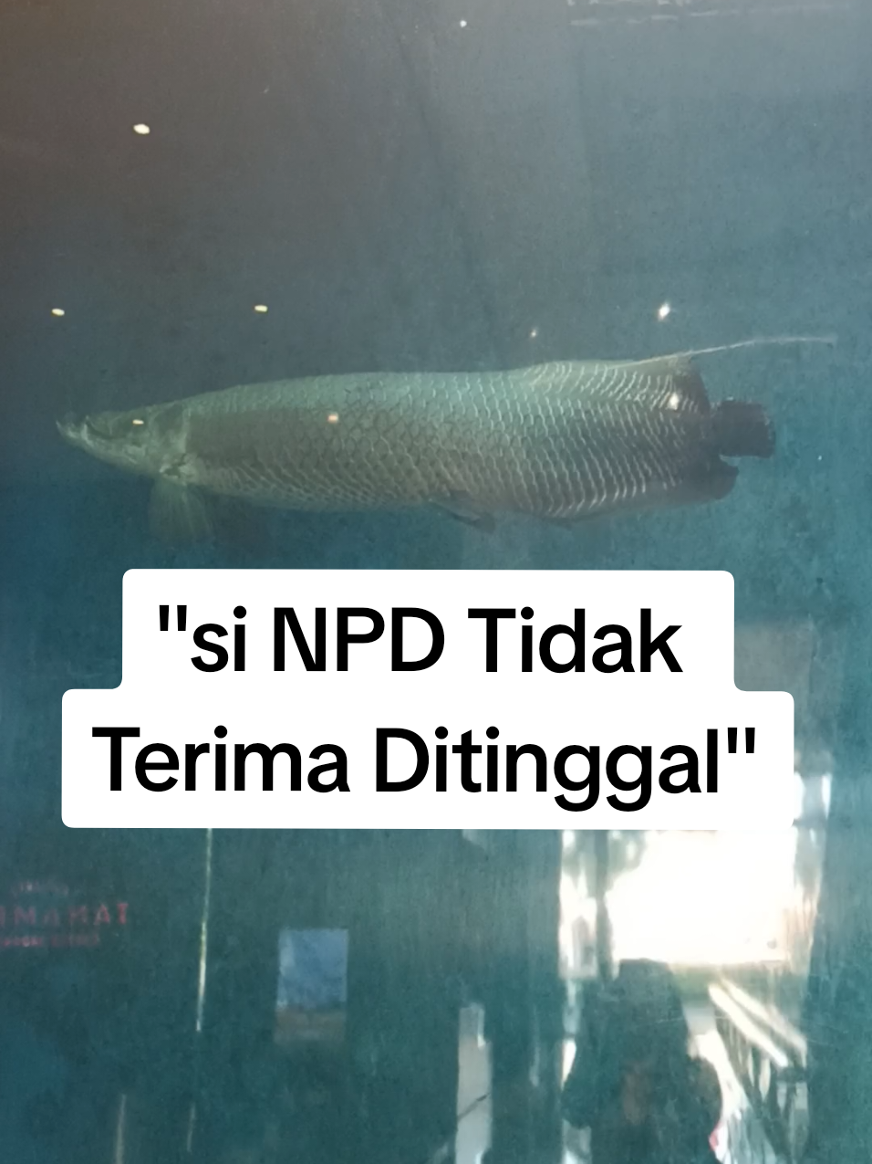 si NPD merasa takut ditinggal #npd #MentalHealth #hubungantoxic 