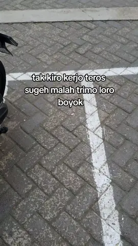 suntek no jiee