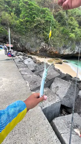 Ikan Cendronya masuk TV #mancing #fishing #fishingtiktoks #erwadkalen #pantaisadeng 
