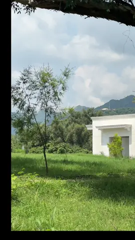 Pakistan 🇵🇰 