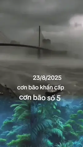 #xh #xhtiktok # tin giông bão lũ lụt 