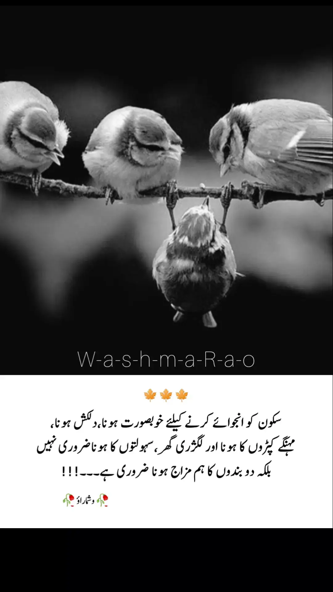 اختلاف جتنا بھی بڑھ جائے، دو حدیں کبھی نہ پار کریں کسی کے رزق پر وار نہ کریں کسی کی عزت کو نشانہ نہ بنائیں💯🥀 وشماراؤ  #sadsong #foryoupage❤️❤️ #urduline #viralvidoes #foryou 