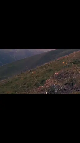 #لا اله الا الله 