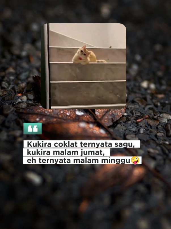 😌😌😌#assalamualaikum #fyppp #fypviralシ 