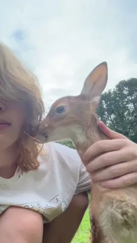 and i'm somewhere between #bodhi4prez #deer #fawn #pet #fuel 